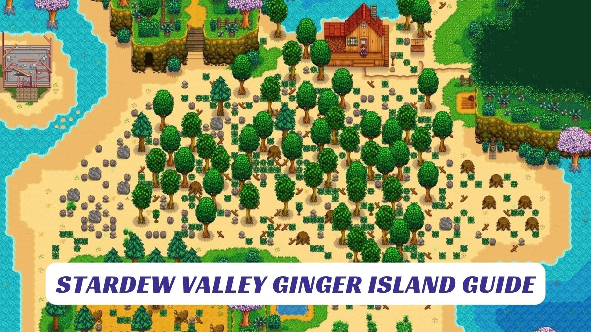 Stardew Valley Ginger Island Guide Lawod